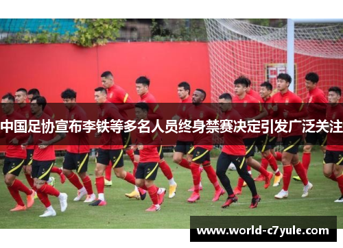 中国足协宣布李铁等多名人员终身禁赛决定引发广泛关注