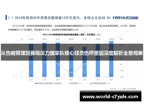 从伤病管理到赛程压力国家队核心球员伤停原因深度解析全景观察 从伤病管理到赛程压力国家队核心球员伤停原因深度解析全景观察